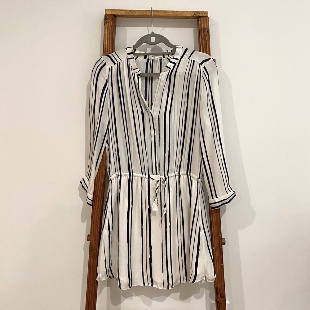 Aritzia Babaton Bennet Shirt Dress